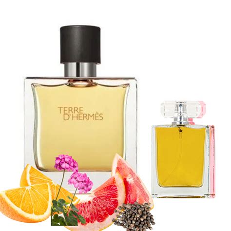 hermes perfumy męskie opinie|terre Hermes fragrantica.